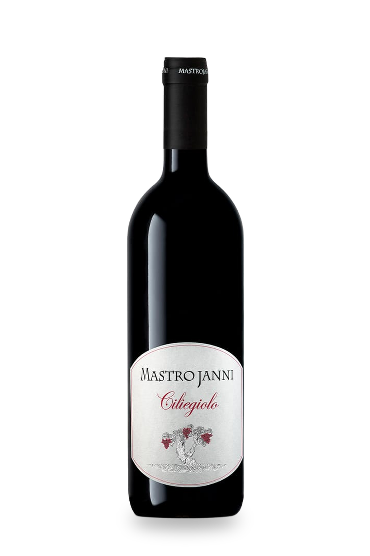 Mastrojanni Ciliegiolo 2021 – Red Wine