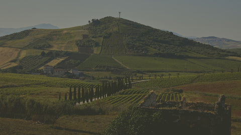 Alessandro di Camporeale — Hero image