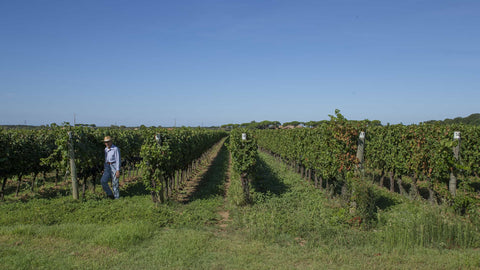 Campo al Noce — Gallery 2