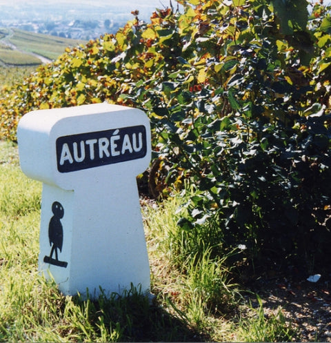 Champagne Autreau de Champillon — Gallery 4