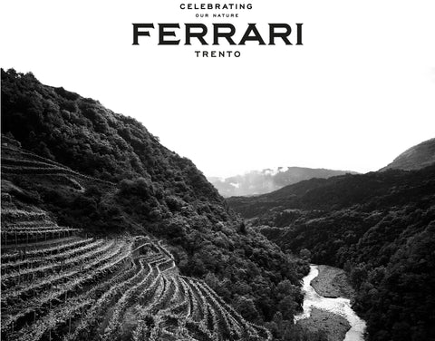 Ferrari Trento DOC — Gallery 4