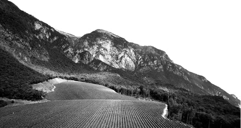 Ferrari Trento DOC — Hero image