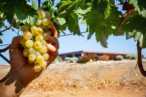 Podere Guardia Grande — Gallery 1