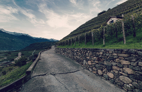 Tenuta Scersce — Hero image