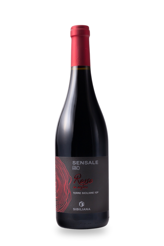Sibiliana Sensale Rosso in Amphora 2022
