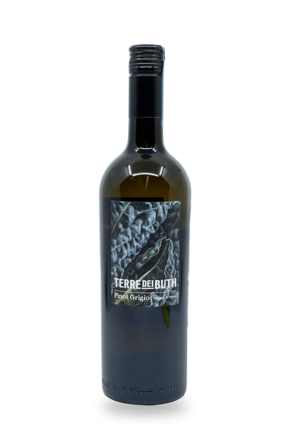 Terre dei Buth Pinot Grigio delle Venezie 2025