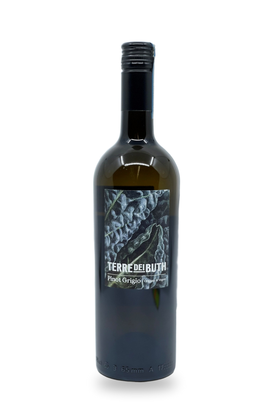 Terre dei Buth Pinot Grigio delle Venezie 2025