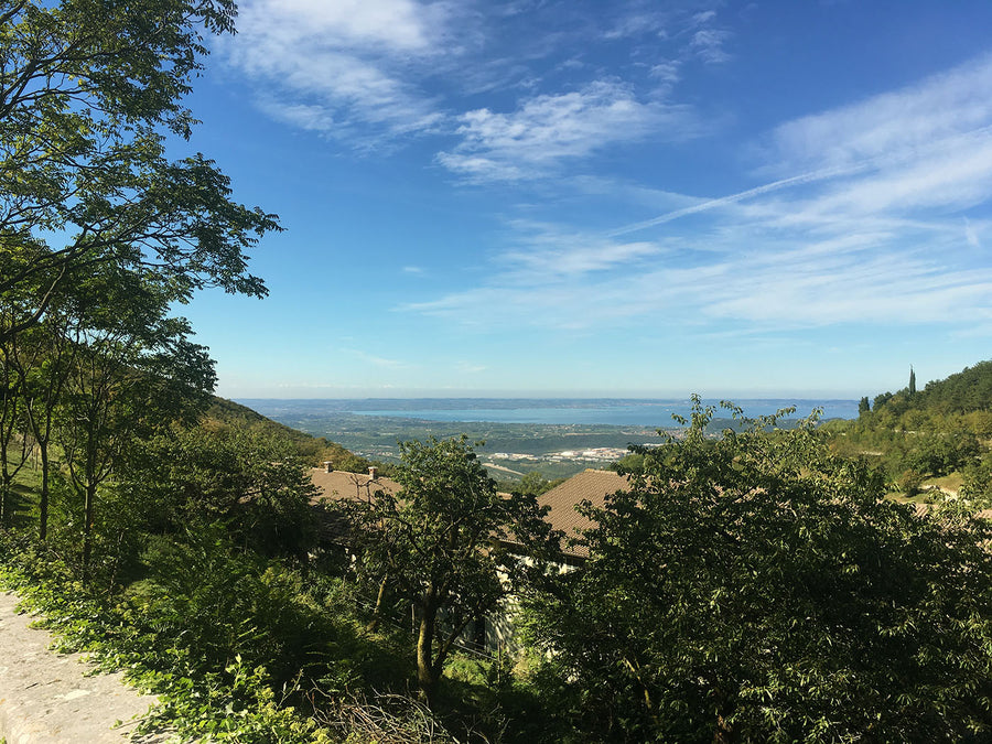 Stefano Accordini — gallery 1: Chiesa Vecchia vineyard (placeholder from producer website)