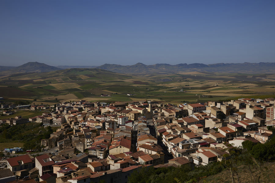 Alessandro di Camporeale — gallery 2: territory (placeholder from producer website)