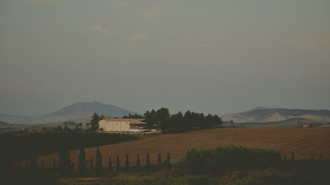 Alessandro di Camporeale — Gallery 4