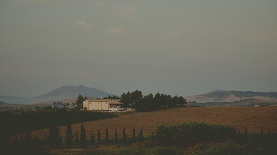 Alessandro di Camporeale — gallery 4: about us (placeholder from producer website)