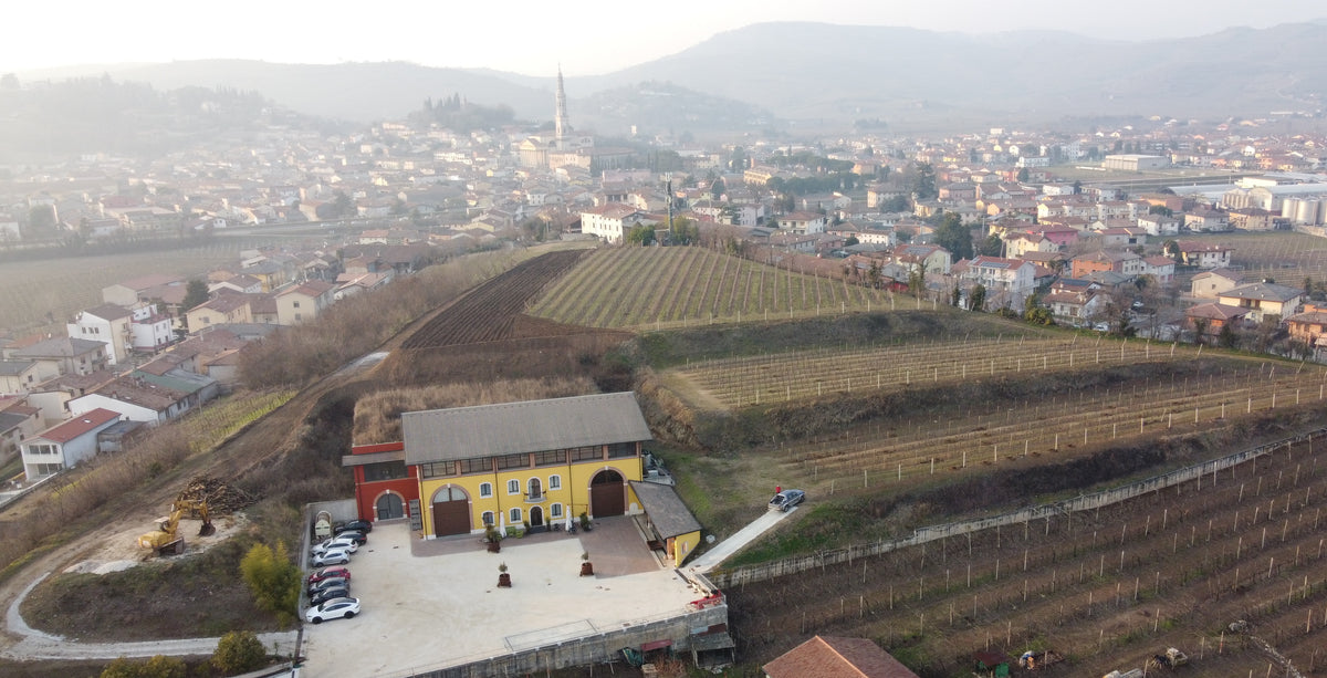 Canoso — vineyard aerial hero (placeholder from producer website)