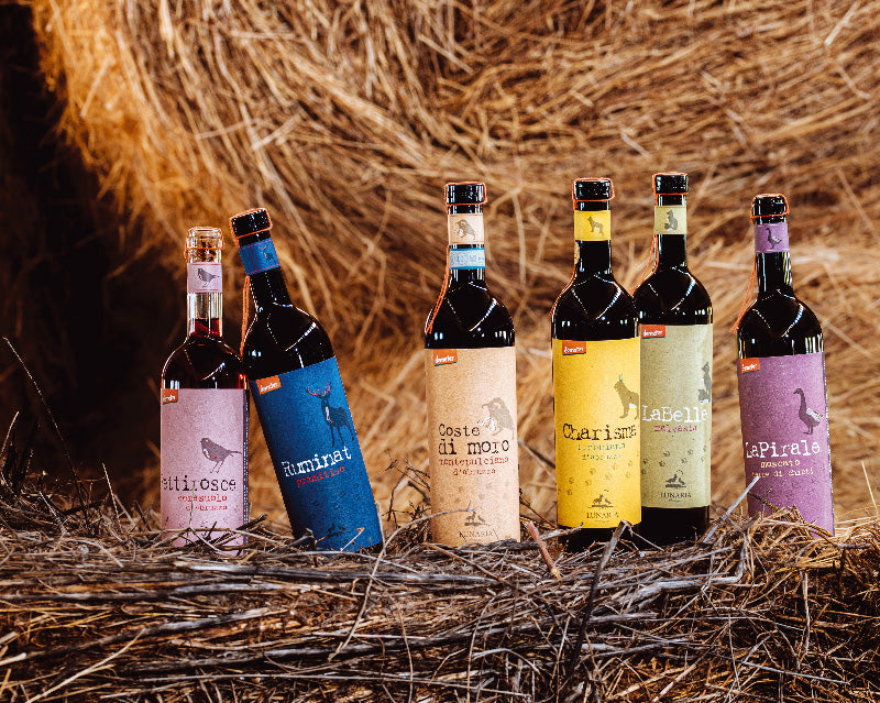 Cantina Orsogna Lunaria — gallery 2: Lunaria (placeholder from producer website, archived 2024)