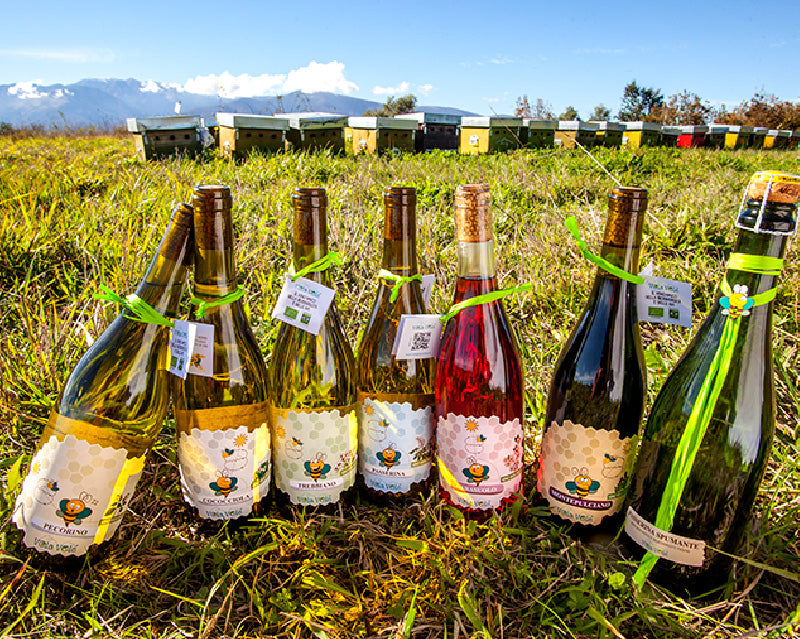 Cantina Orsogna Vola Volé — gallery 2: Vola Volé (placeholder from producer website, archived 2024)