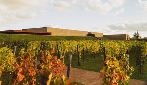 Cantine Lunae — Gallery 2