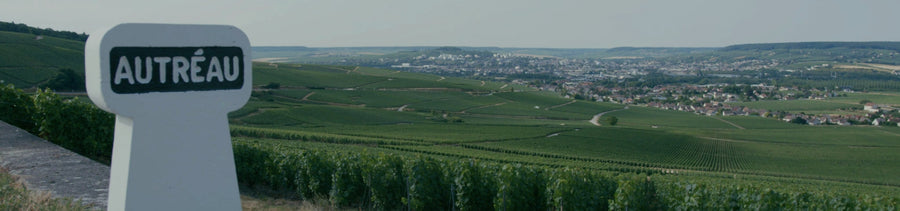 Champagne Autréau de Champillon — gallery 2 (placeholder from producer website)