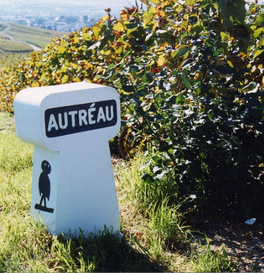 Champagne Autréau de Champillon — gallery 4 (placeholder from producer website)