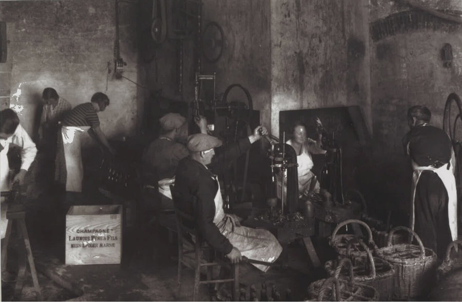 Champagne Léon Launois — gallery 2 (placeholder from producer website)