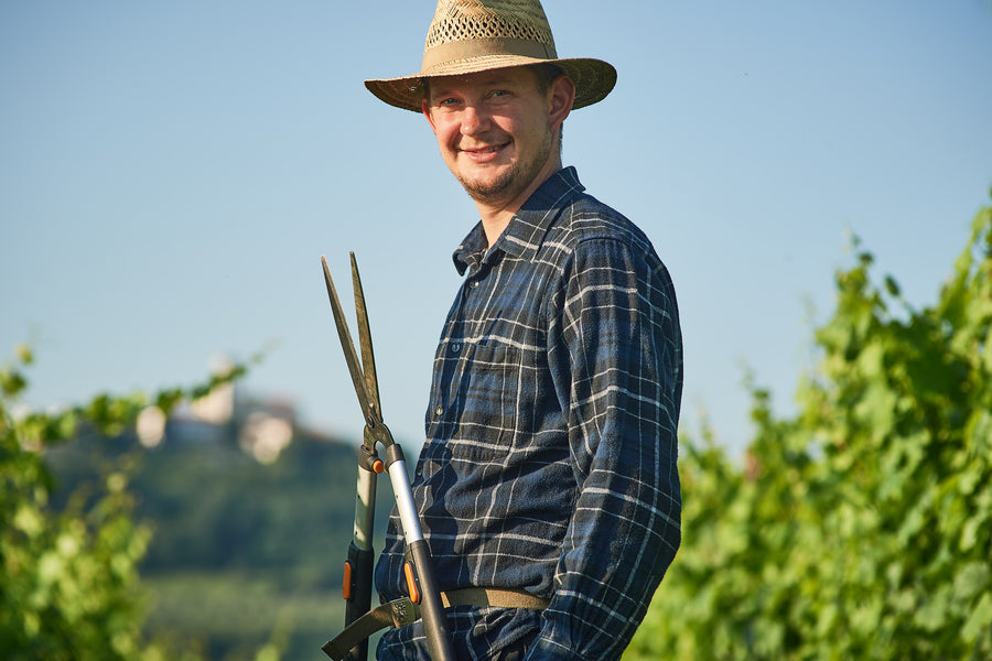 Edi Simčič — gallery 2: Jure Simčič, Kozana vineyard (placeholder from producer website)