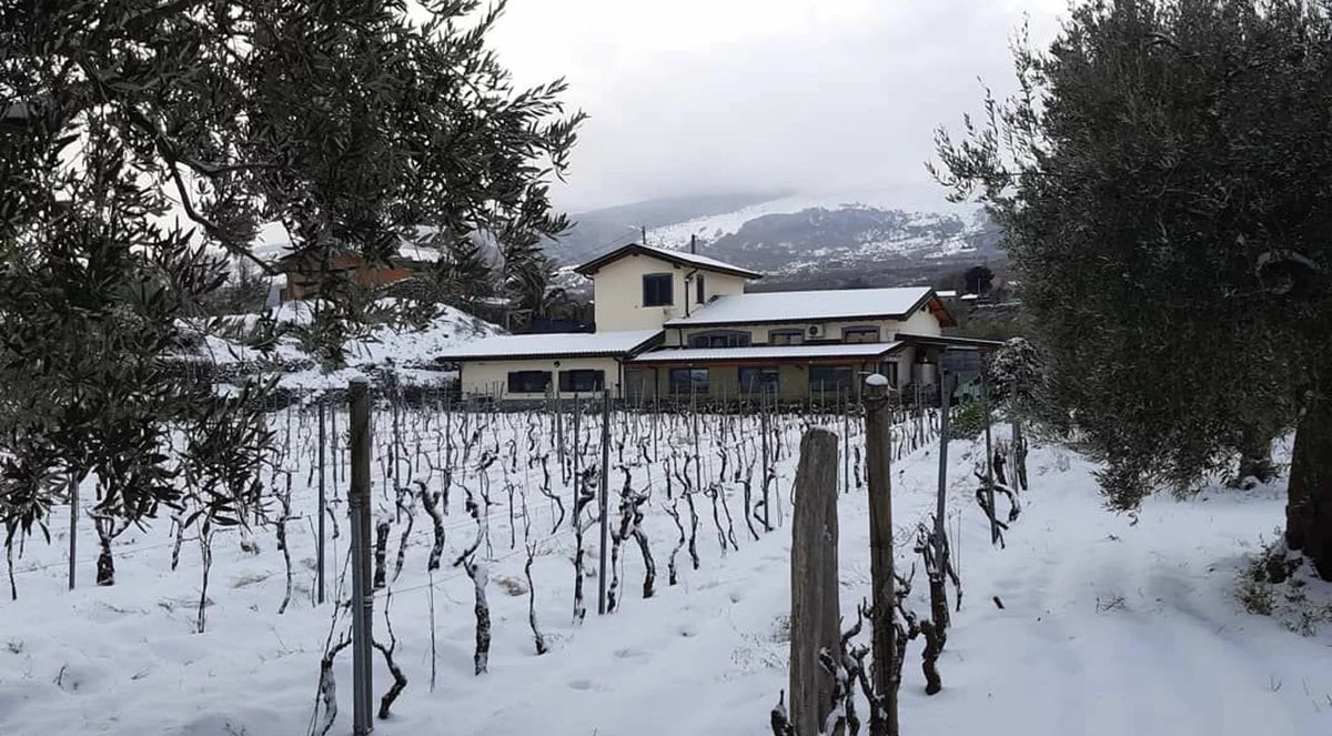 Enò-Trio — vineyard hero (placeholder from producer website)