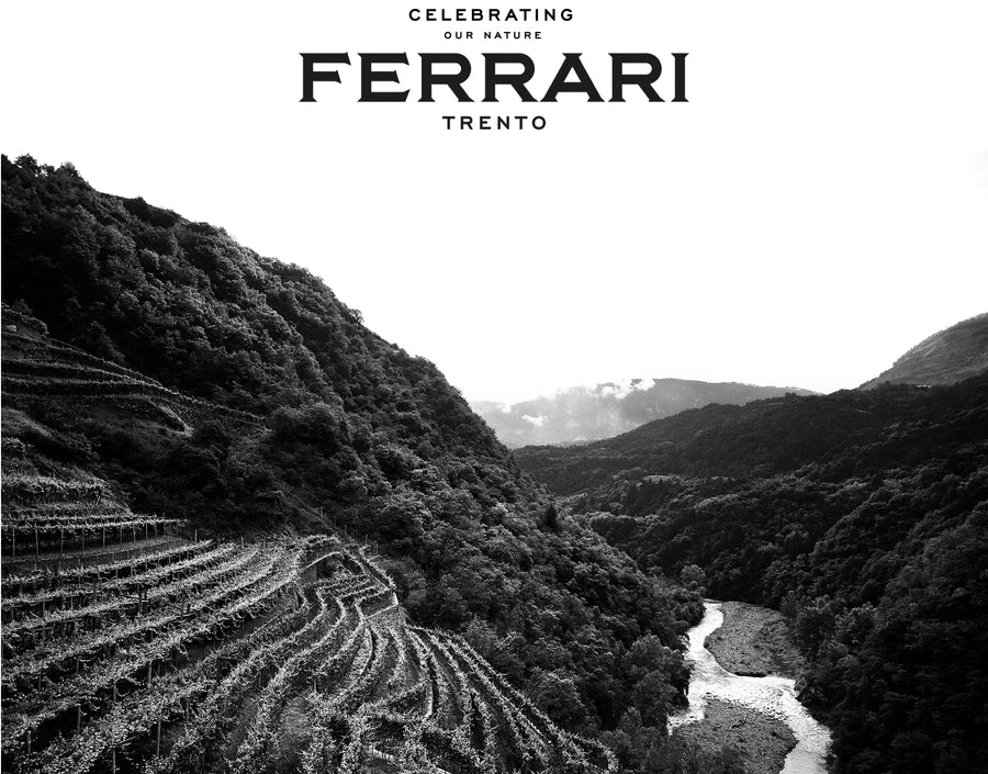 Ferrari Trento — gallery 4 (placeholder from producer website)