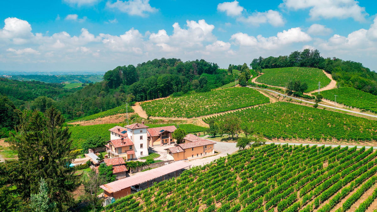 La Fontanassa — aerial vineyards hero (placeholder from producer website)