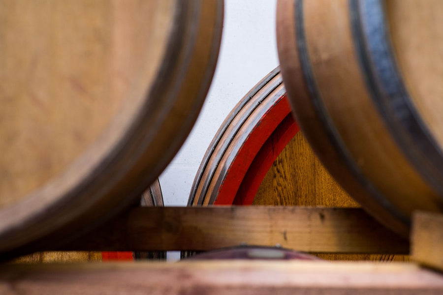 Fattoria di Fugnano — gallery 1: cellar (placeholder from producer website)