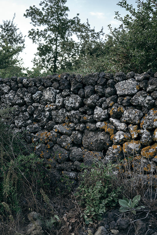 Generazione Alessandro — gallery 4 (placeholder from producer website, photo Roselena Ramistella)