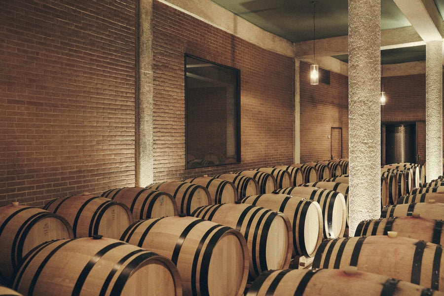 J. Hofstätter — gallery 2: barrique cellar (placeholder from producer website, photo © Peter Bender)