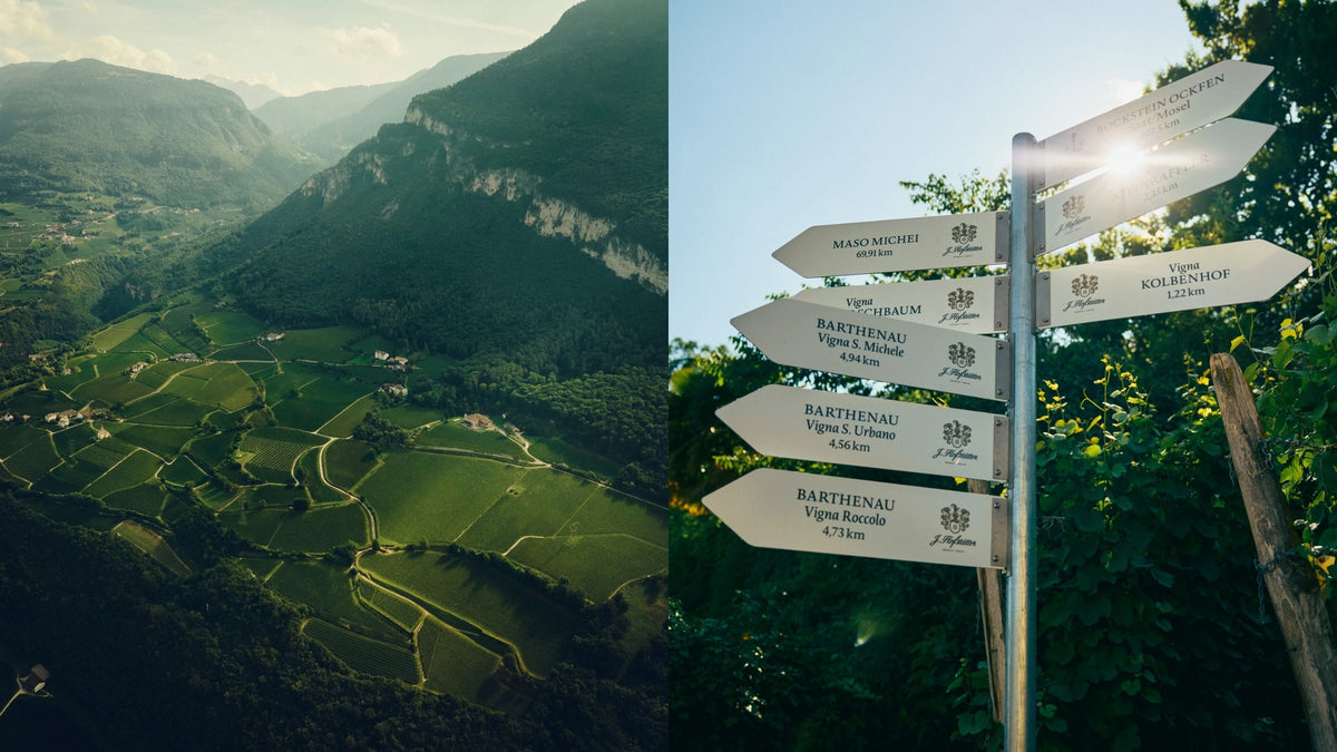 J. Hofstätter — single vineyards hero (placeholder from producer website)