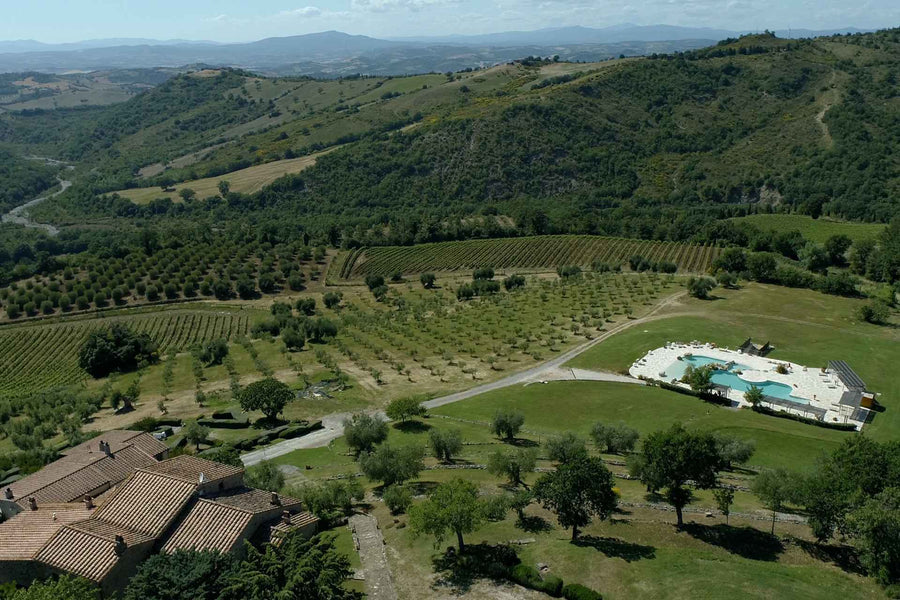 Fattoria La Pieve — gallery 2: the estate (placeholder from producer website)