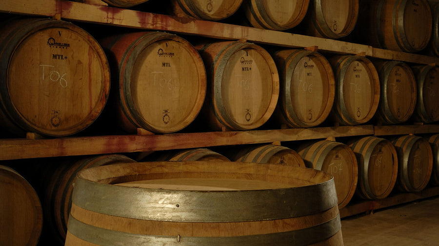Macchialupa — gallery 1: barrels (placeholder from producer website)