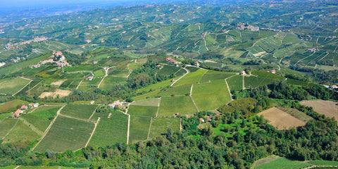 Manzone Giovanni — Hero image