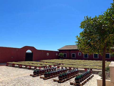 Marabino — Gallery 1