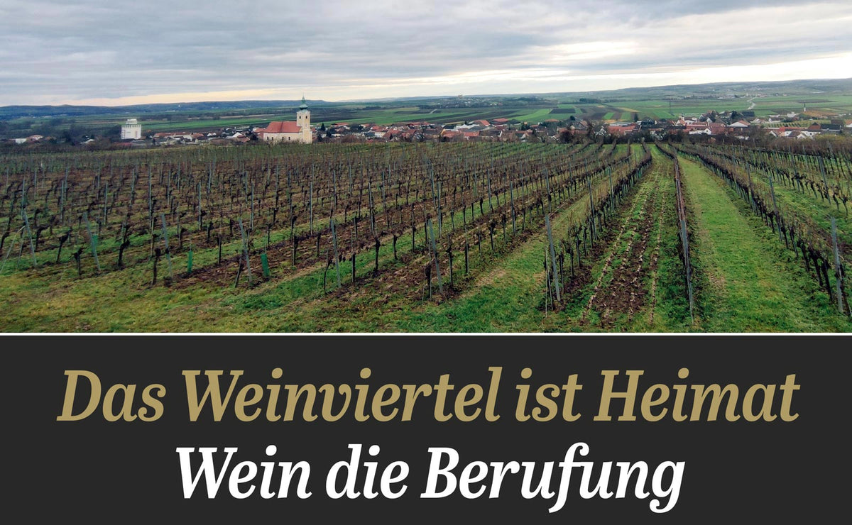 Weingut Leo Maurer — hero (placeholder from producer website)