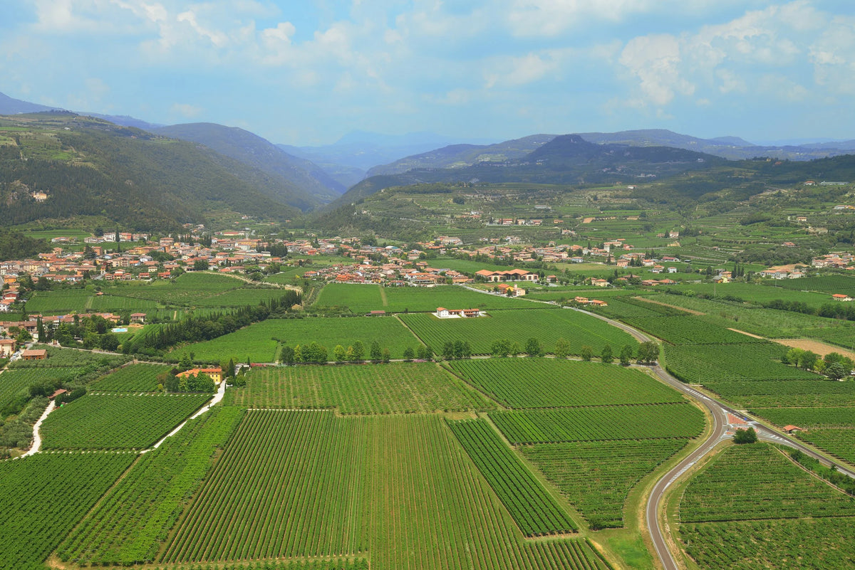 Secondo Marco — Valpolicella hero (placeholder from producer website)