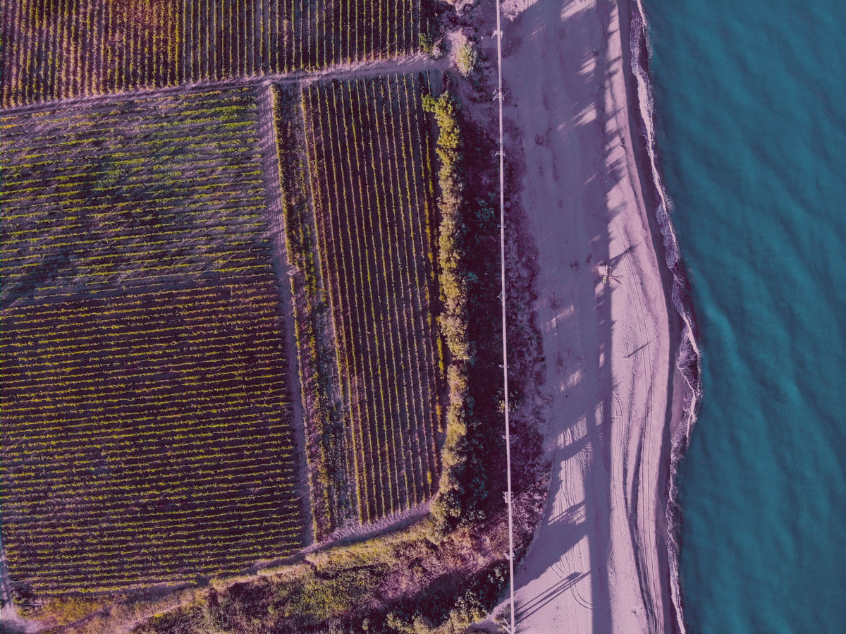Tenuta del Conte — hero (placeholder from producer website theme background)