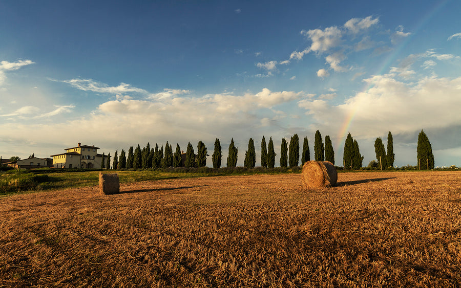 Tenute Lunelli — gallery 2 (placeholder from producer website)
